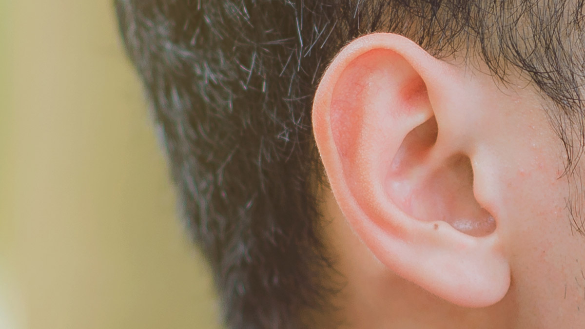 耳の奥にある内耳が、気圧変化を察知するセンサー